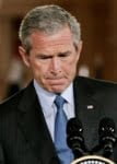 George Bush’s Middle East Adventure: The chickens come home to roost