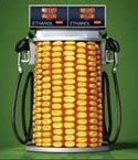 Global Warming – Why Biofuels miss their target