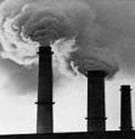 Big business loots carbon trading scheme