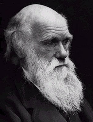 Review: Did Darwin Kill God?