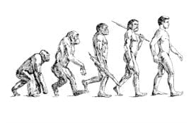 The Part Played by Labour in the Transition from Ape to Man