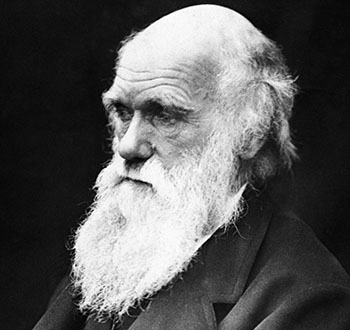 Marx, Darwin, and Gould: The revolution of evolution